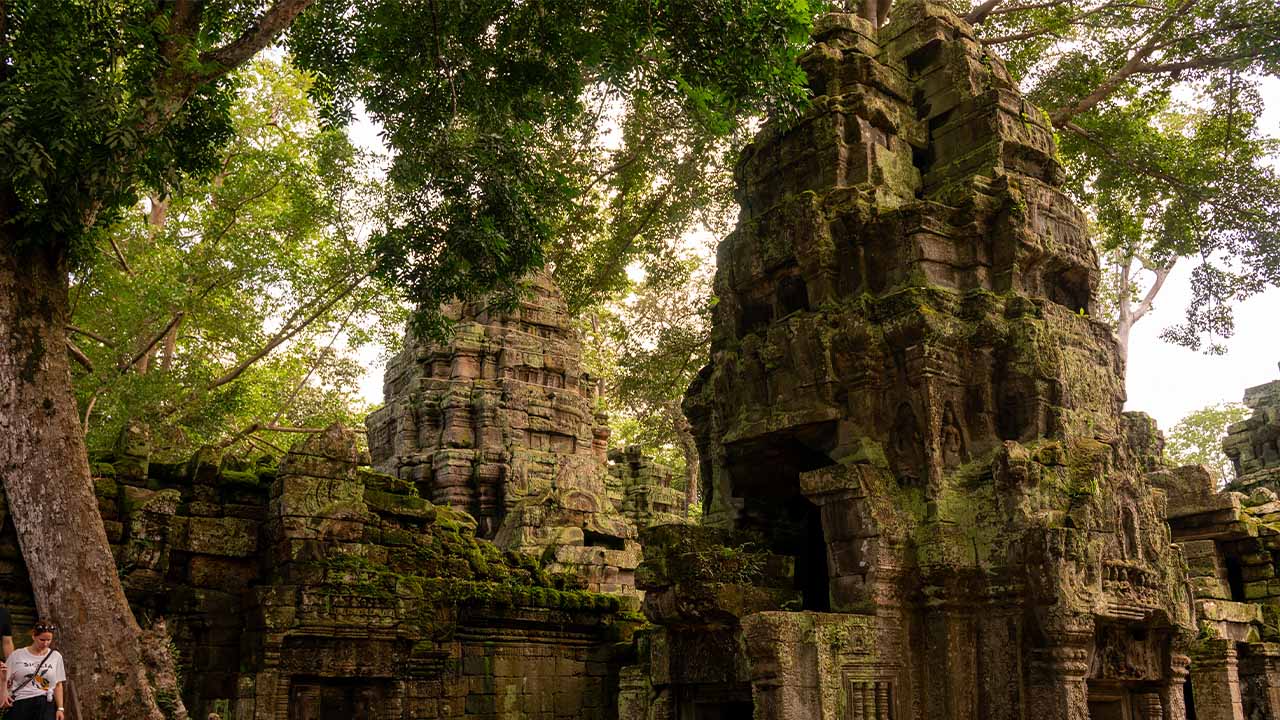 Ta Prohm Temple Siem Reap Cambodia